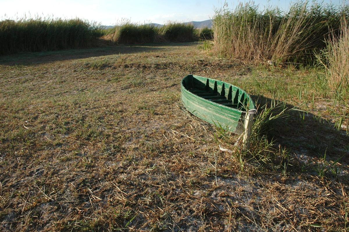 Sequía en las Tablas de Daimiel.