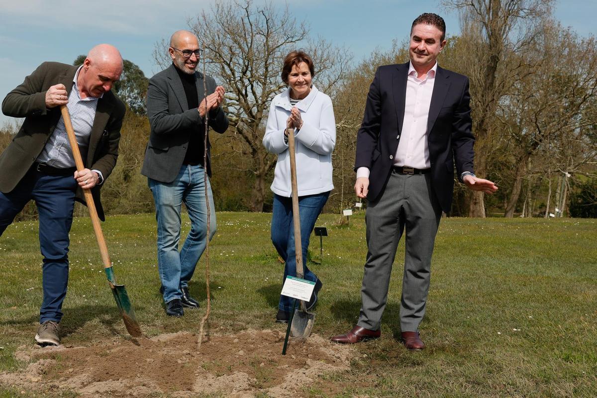 Luis benito García, a la derecha, junto a los ediles Abel Junquera y Oliver Suárez, y la Alcaldesa, Carmen Moriyón, en la plantación de un manzano en su honor en La Llorea.