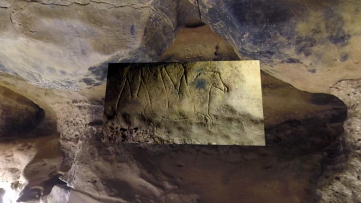 Resultado del escaneado a los grabados encontrados en la cueva de la Font Major en l'Espluga de Francolí