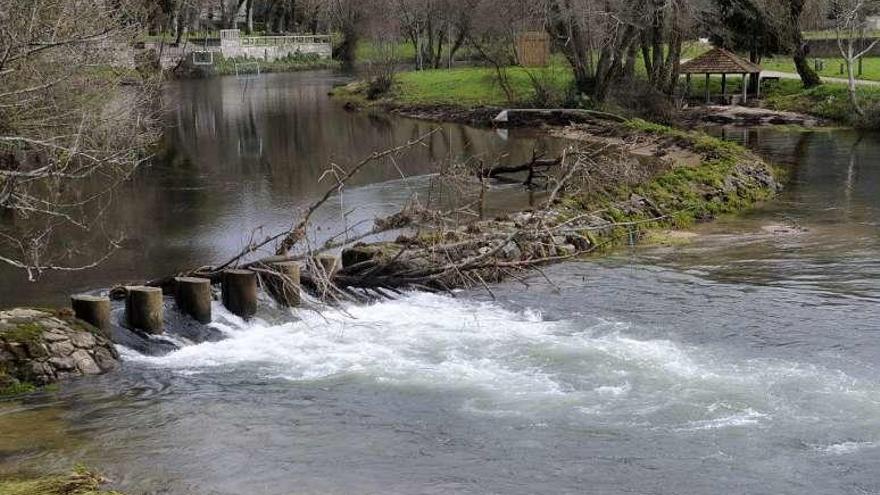 Un árbol atascado en las chorreras del río Umia en Caldas. // Noé P.