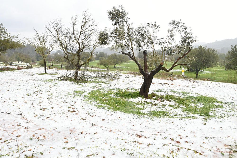 Nieve en Sant Miquel (Ibiza)