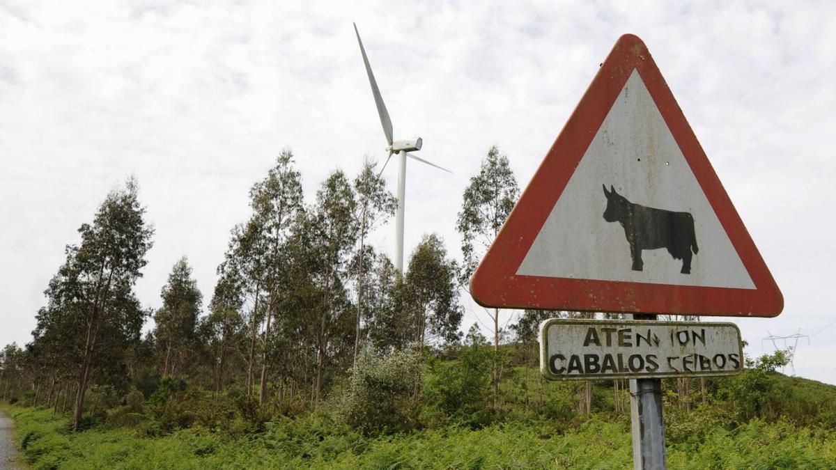 La Xunta autoriza el parque eólico Monte Xesteiros en la zona de Vea, en A  Estrada - Faro de Vigo