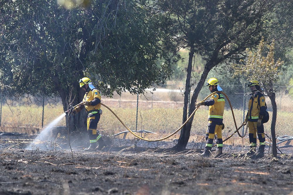 Controlado un incendio en el valle de Morna, en Sant Carles (Ibiza).