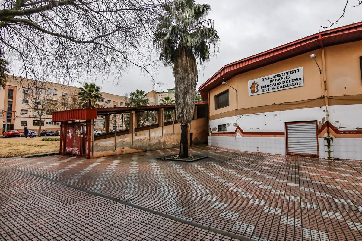 Galería | El Mercado Dehesa de los Caballos de Cáceres