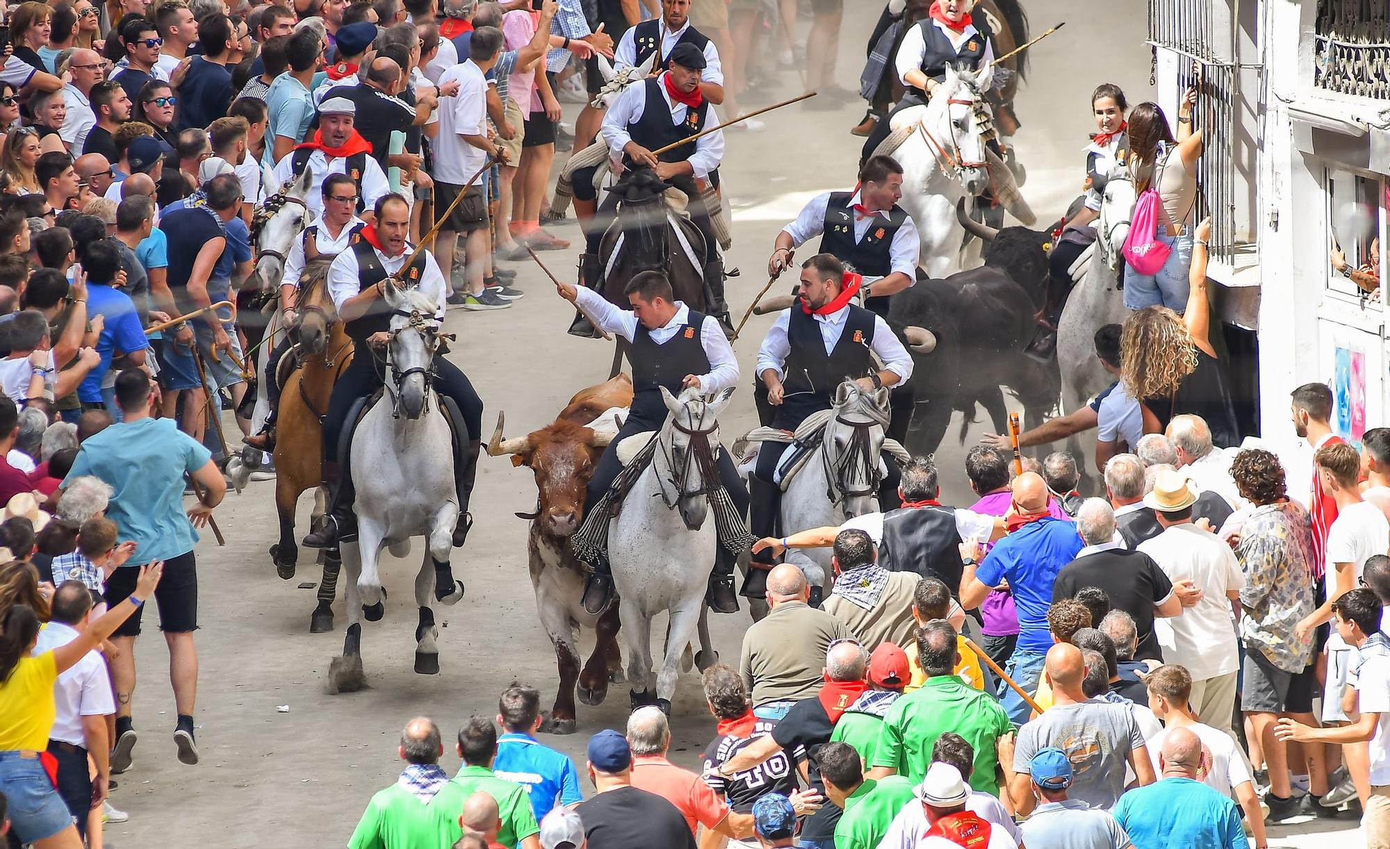 Todas las fotos de la cuarta Entrada de Toros y Caballos de Segorbe