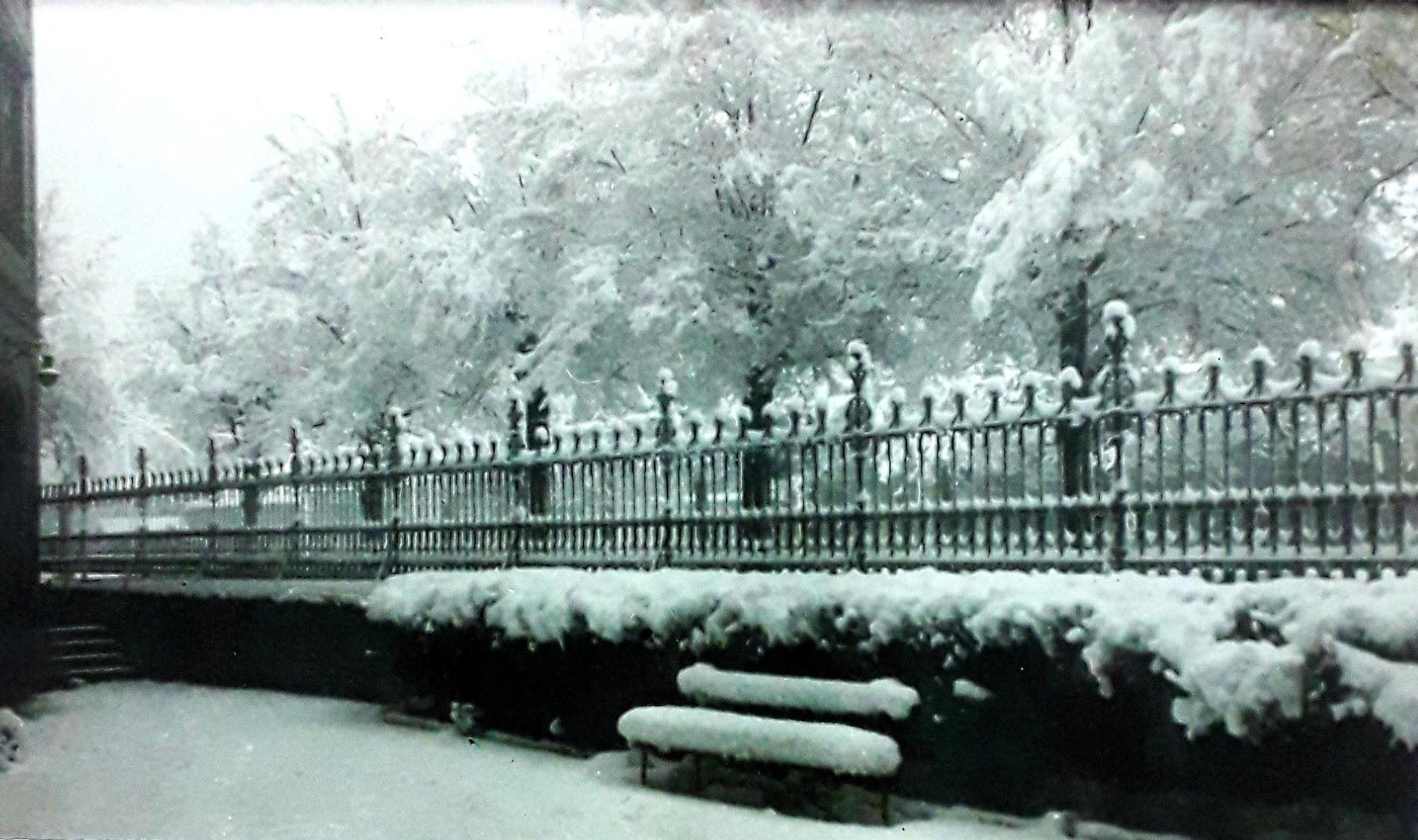 Un recorrido histórico por la Gota de Leche de Gijón, en imágenes