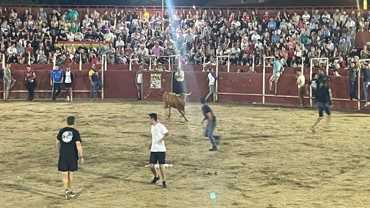 GALERÍA | Noche de vaquillas en San Cristóbal de Entreviñas