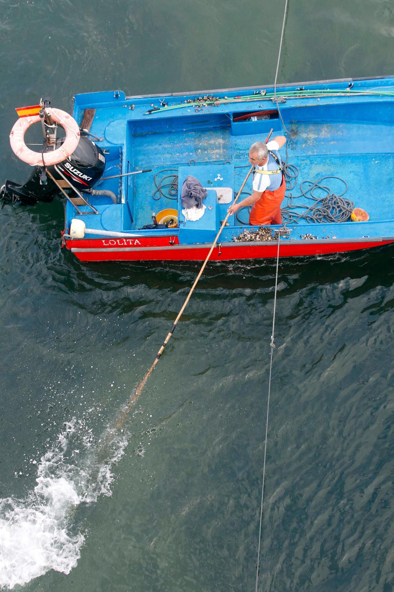 Así comenzó otra preocupante y desconsoladora campaña para el libre marisqueo en Arousa.