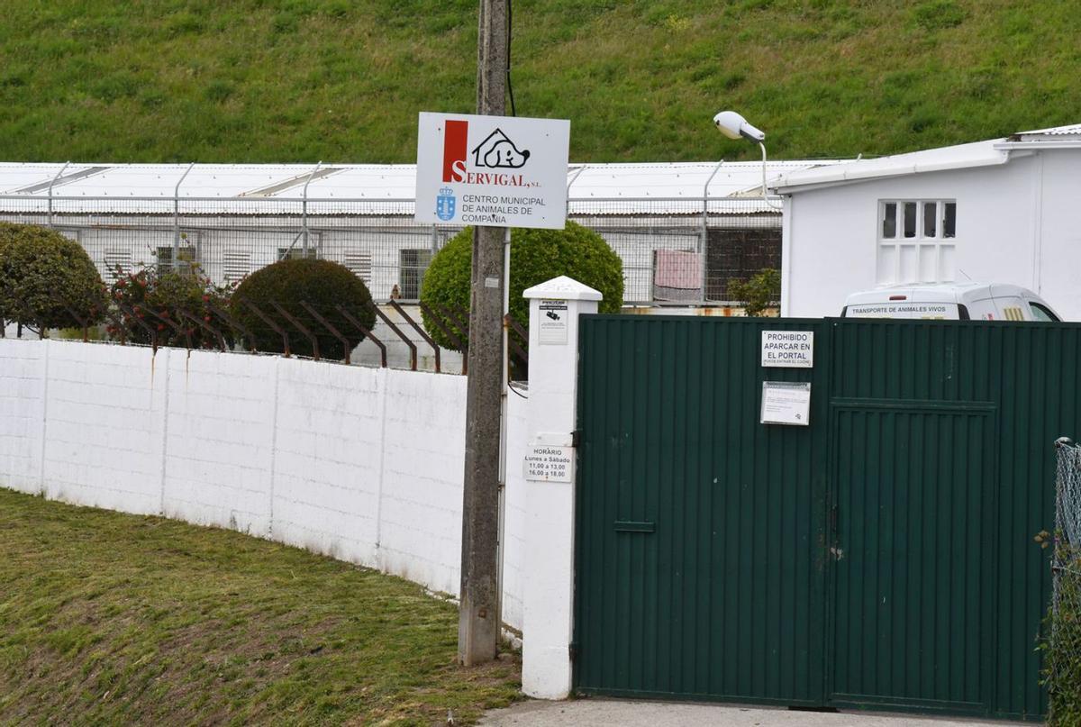 Centro de acogida municipal de animales en Bens. |   // VÍCTOR ECHAVE