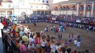El 80% de los cadafals de Nules no cumple la norma: o los adaptan o prohibirán su montaje