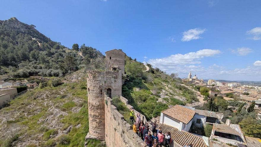 reabre una vez al mes el torreón de la calle Carneros de Xàtiva reconvertido en observatorio de aves