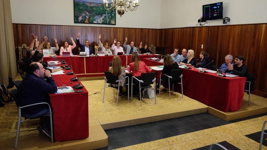 Moment de la votació al ple extraordinari.