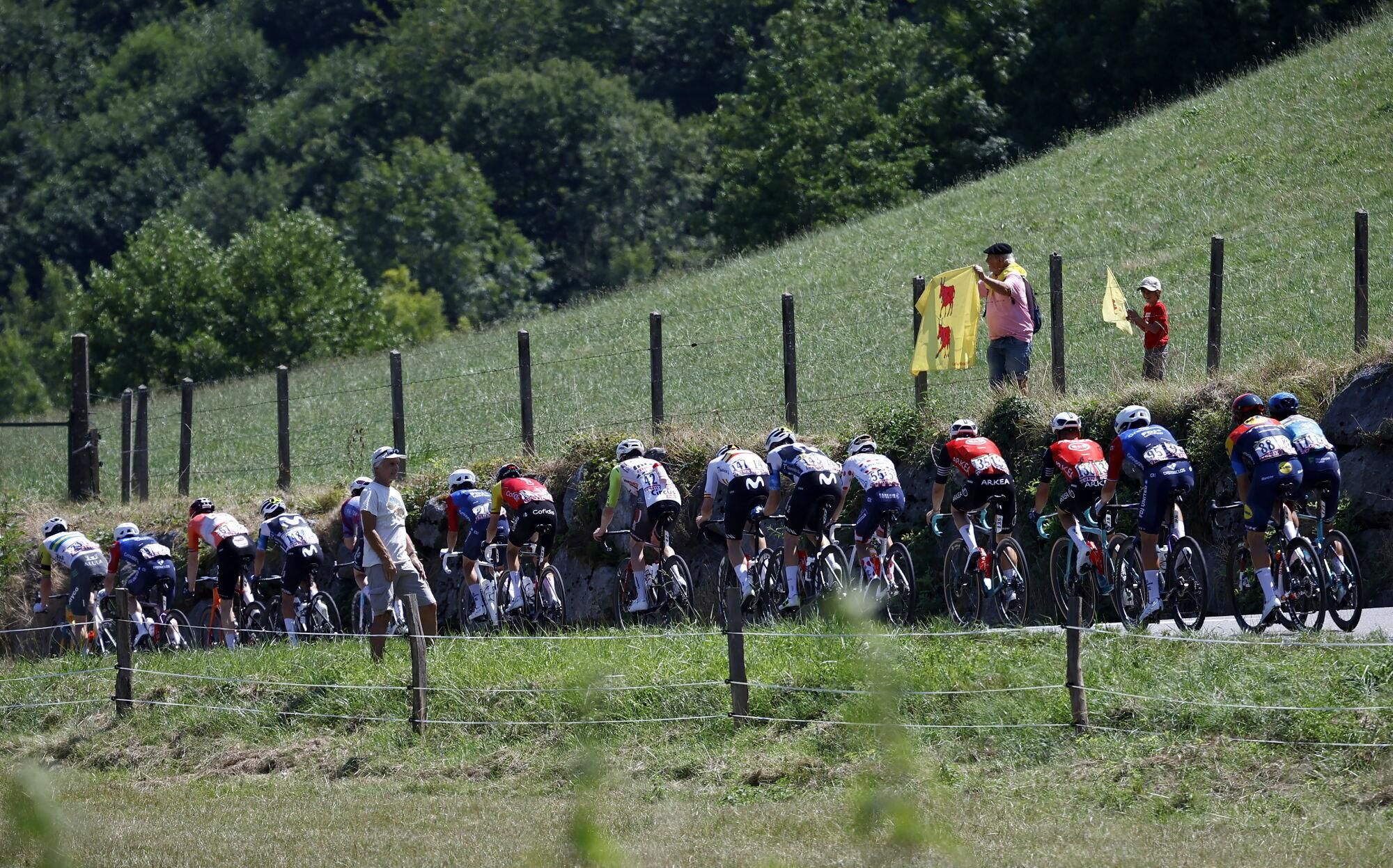 Ferrieres (France), 17/07/2025.- The peleton in action during the 12th stage of the Tour de France cycling race over 180.6km from Auch to Hautacam, France, 17 July 2025. (Ciclismo, Francia) EFE/EPA/MARTIN DIVISEK