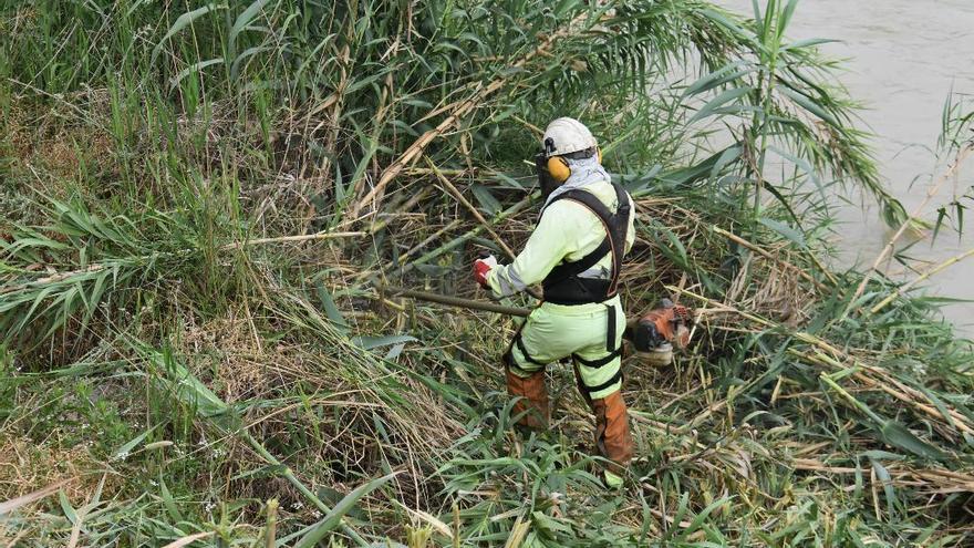 Una trabajador realiza trabajo de desbroce en la orilla del río Genil.