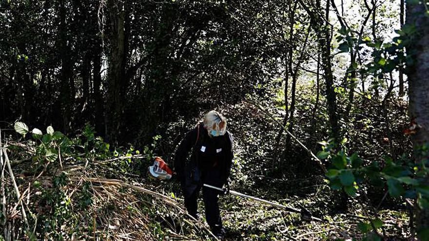 La Historia se abre paso entre la maleza