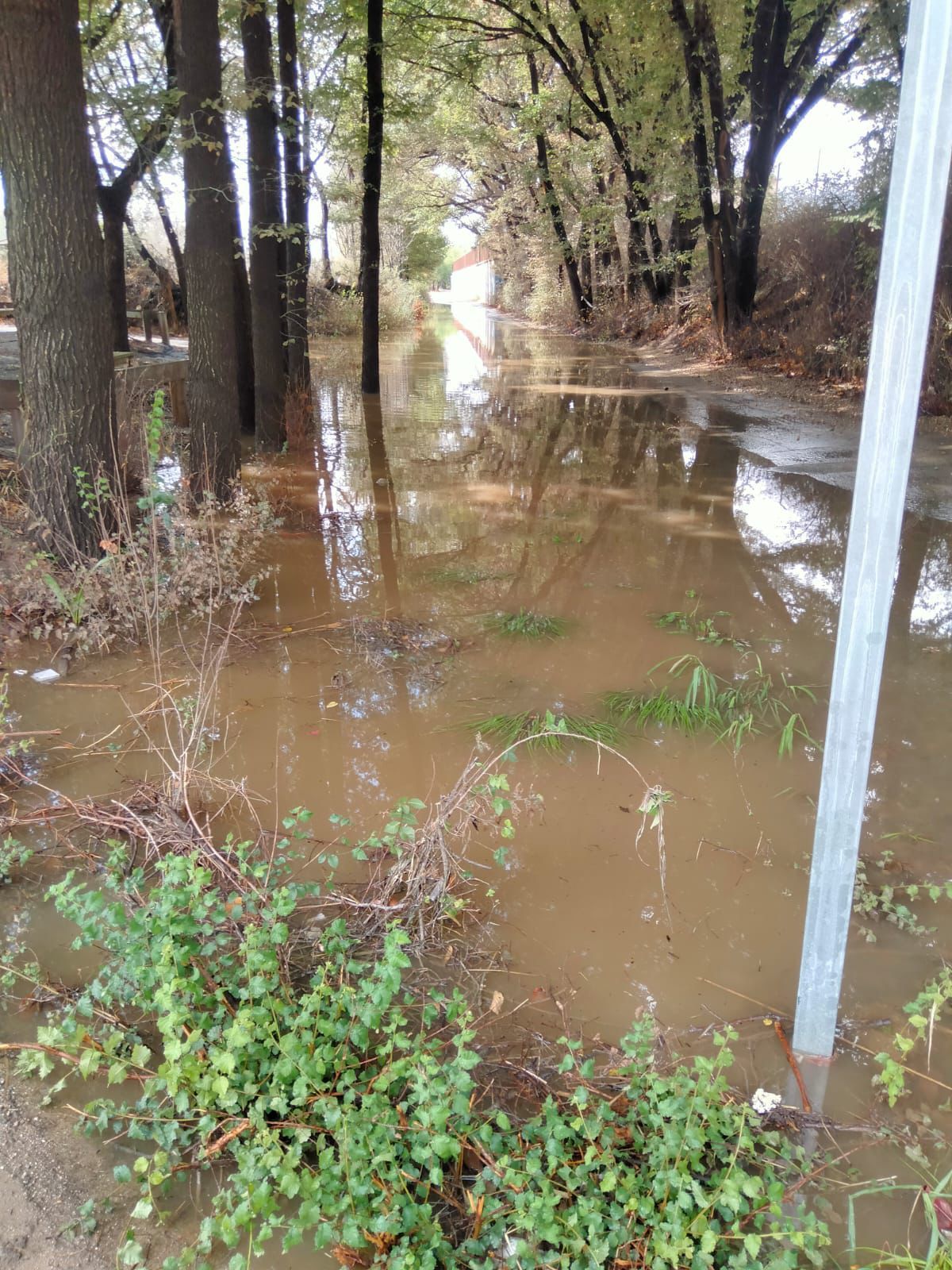 WhatsApp Image 2025-09-30 at 21.34.19 (4).jpeg