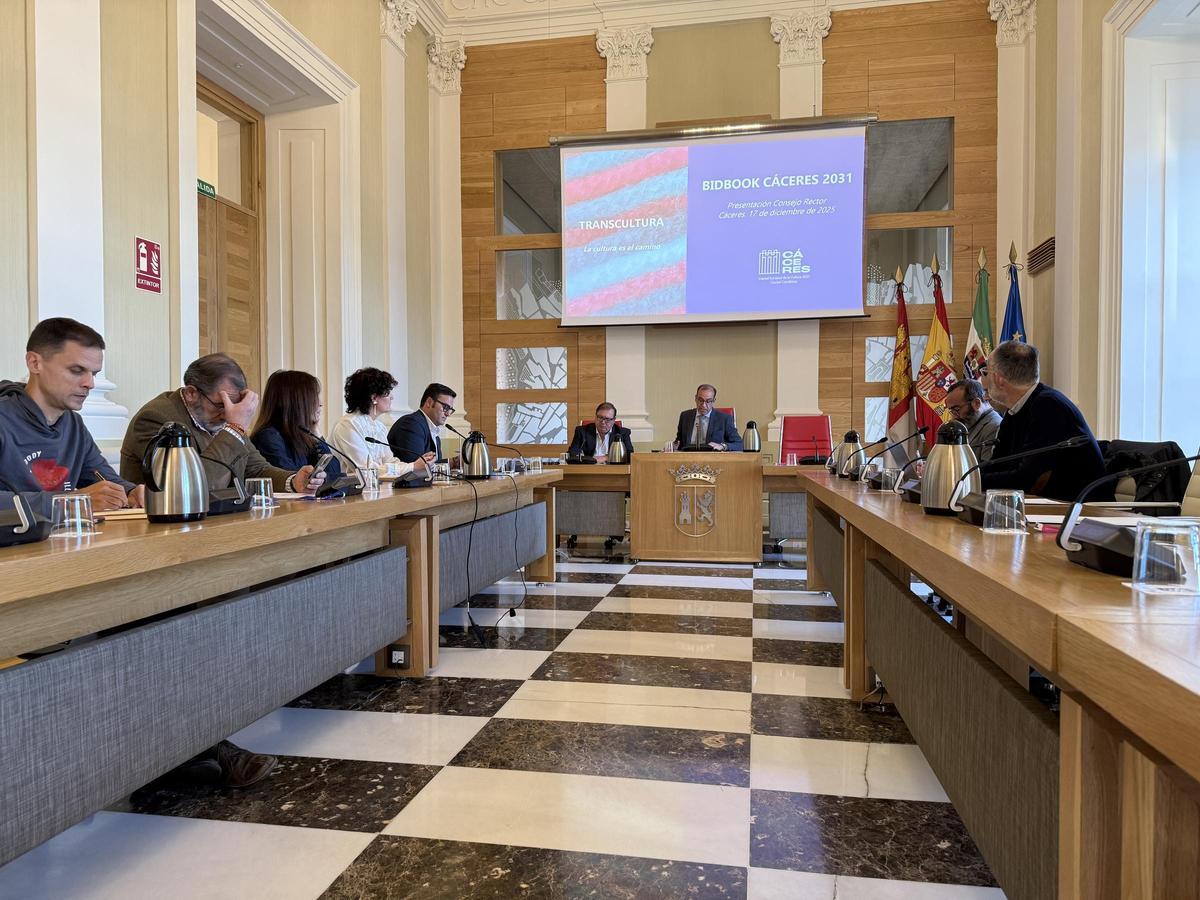 Consejo rector, este miércoles en el salón de plenos.