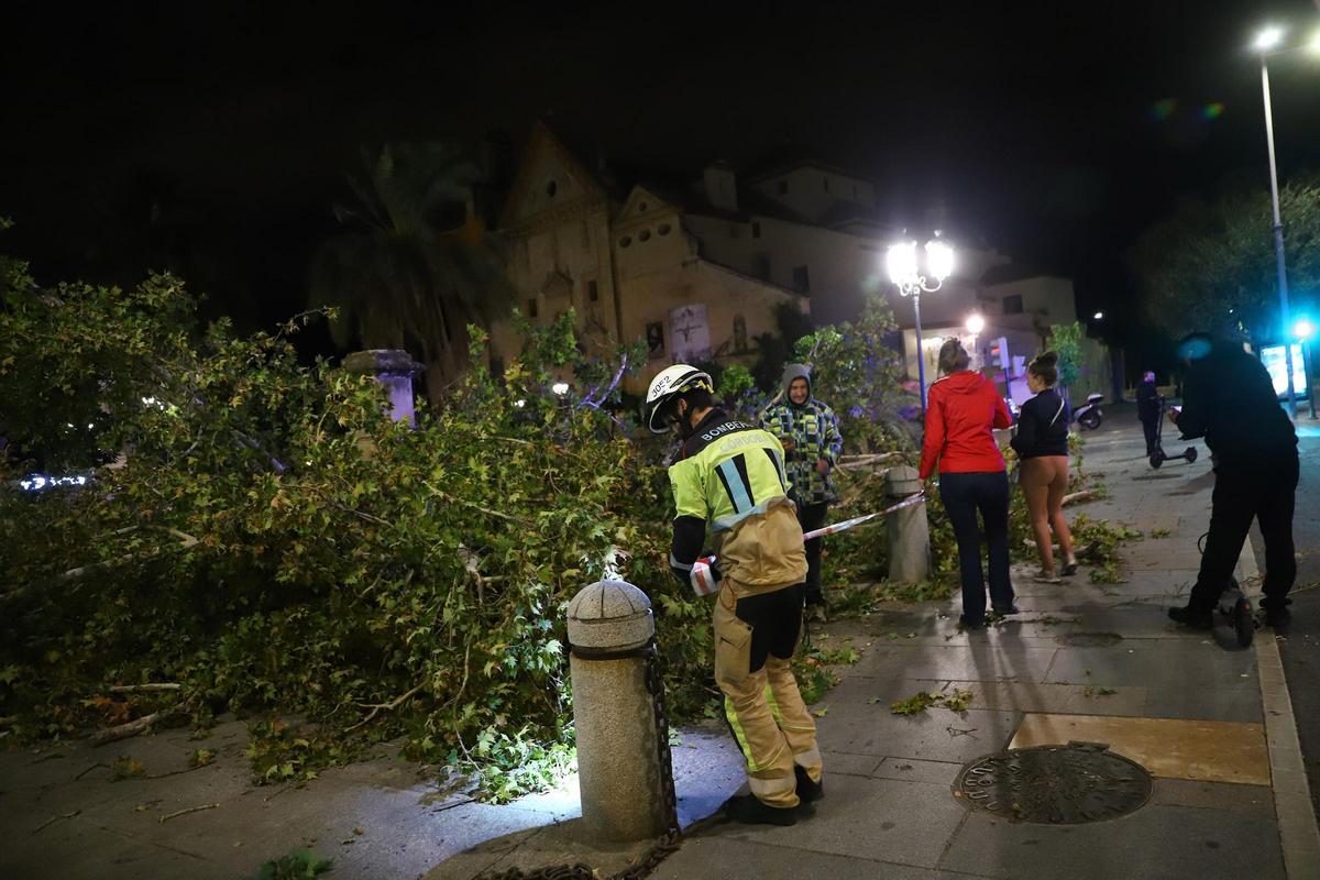 Los efectos del temporal en Córdoba, en imágenes