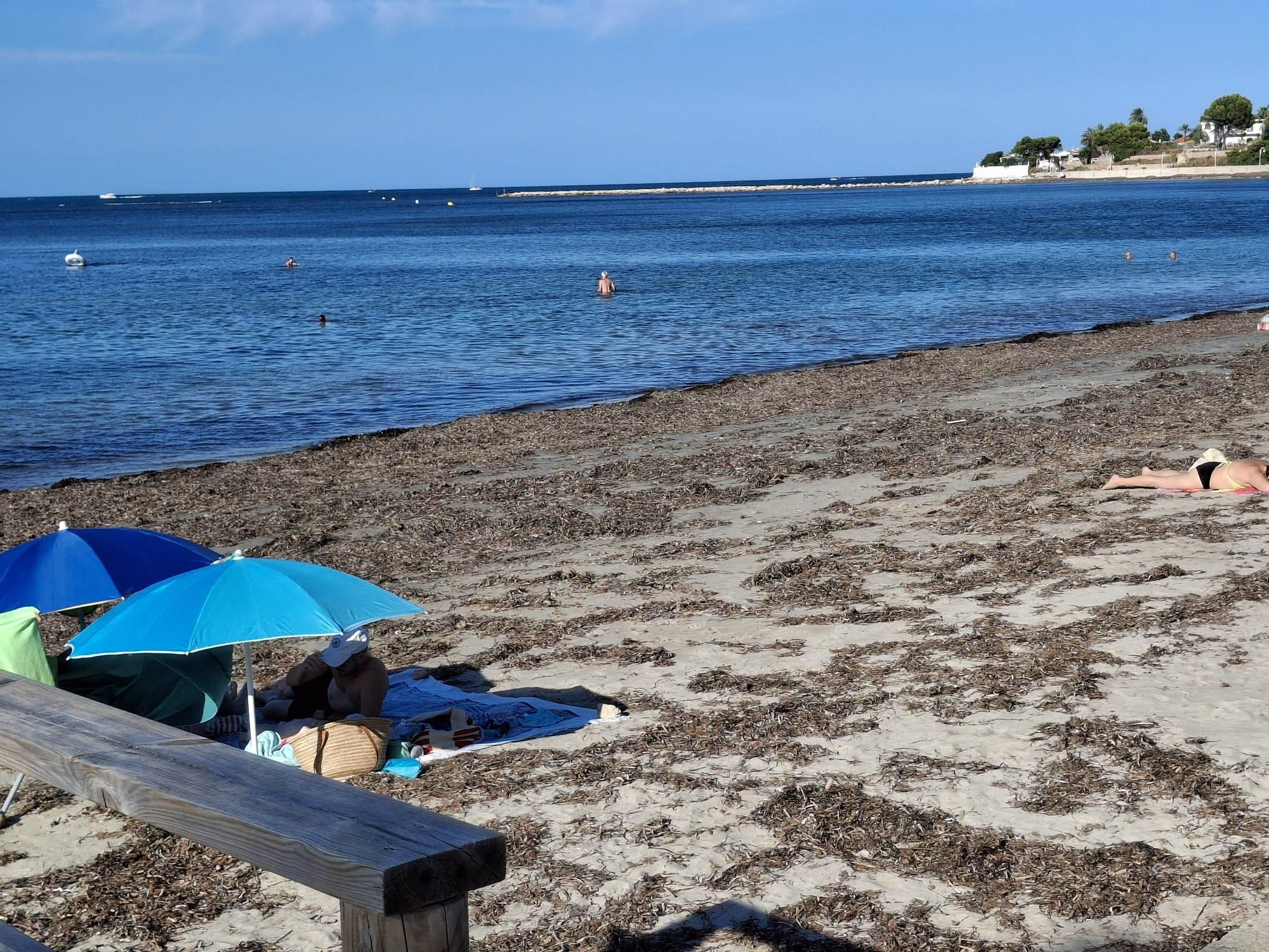 ¡Esto es vida!: manto de posidonia, aguas cristalinas y paz absoluta en la Marineta Cassiana de Dénia