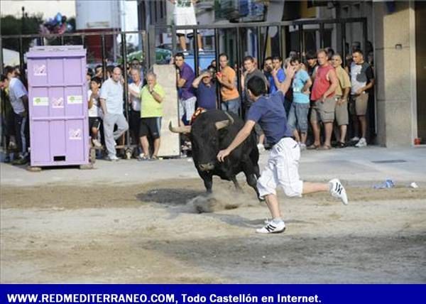 LOS TOROS ASEGURAN LA DIVERSIÓN EN LAS FIESTAS DE SANT PERE