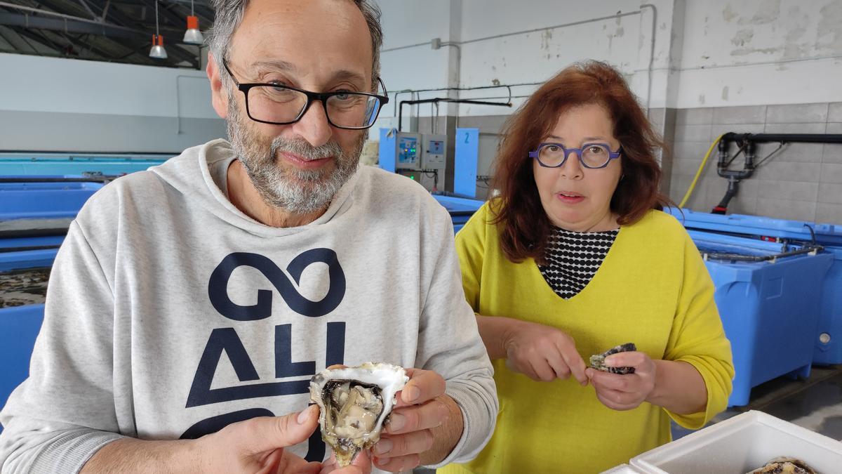 Eduardo Martín y Nuria Núñez, de Acueo, abriendo ostras.