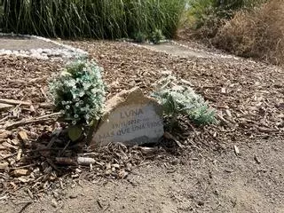 El cementerio público de animales de Málaga, un año después