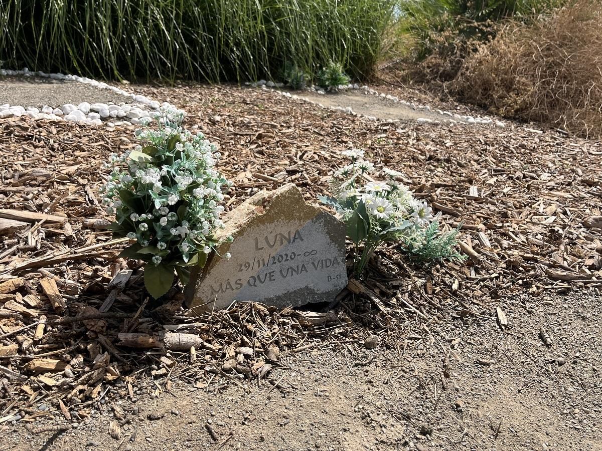 Un enterramiento en el cementerio de mascotas de Málaga.