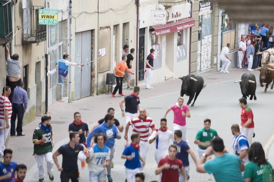 Becerrada, encierros y vaca de la sangría