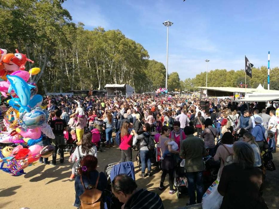 Concert d''El Pot Petit a la Copa