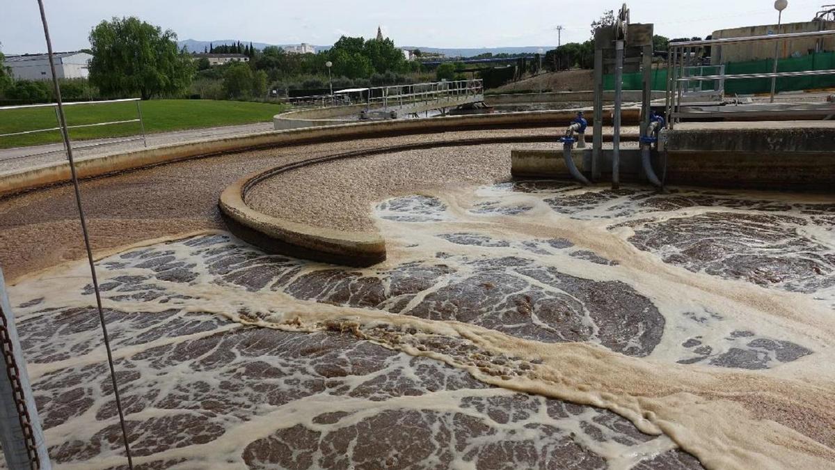 Aguas depuradas en la Edar de Alfarrasí.