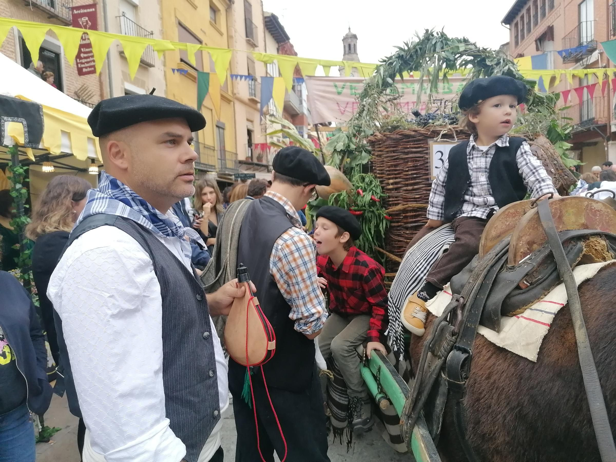 GALERÍA | Toro recrea la vendimia tradicional en el desfile de carros