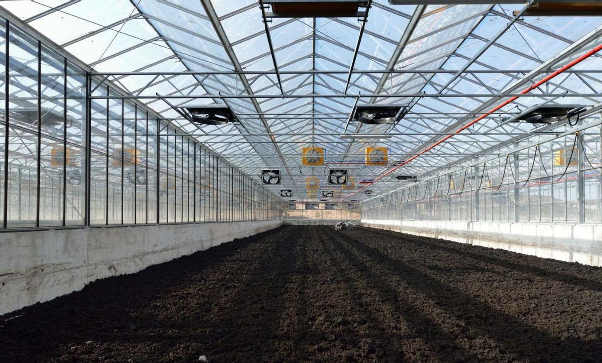 Planta de secado de lodos que produce compost para fertilizar los campos y suministra electricidad. | A.M.