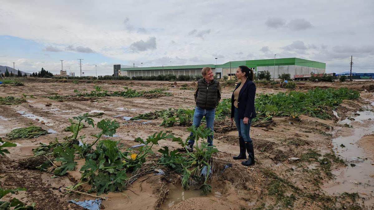 La consejera Sara Rubira visitó campos de cultivo afectados por las fuertes lluvias en El Mirador, San Javier.