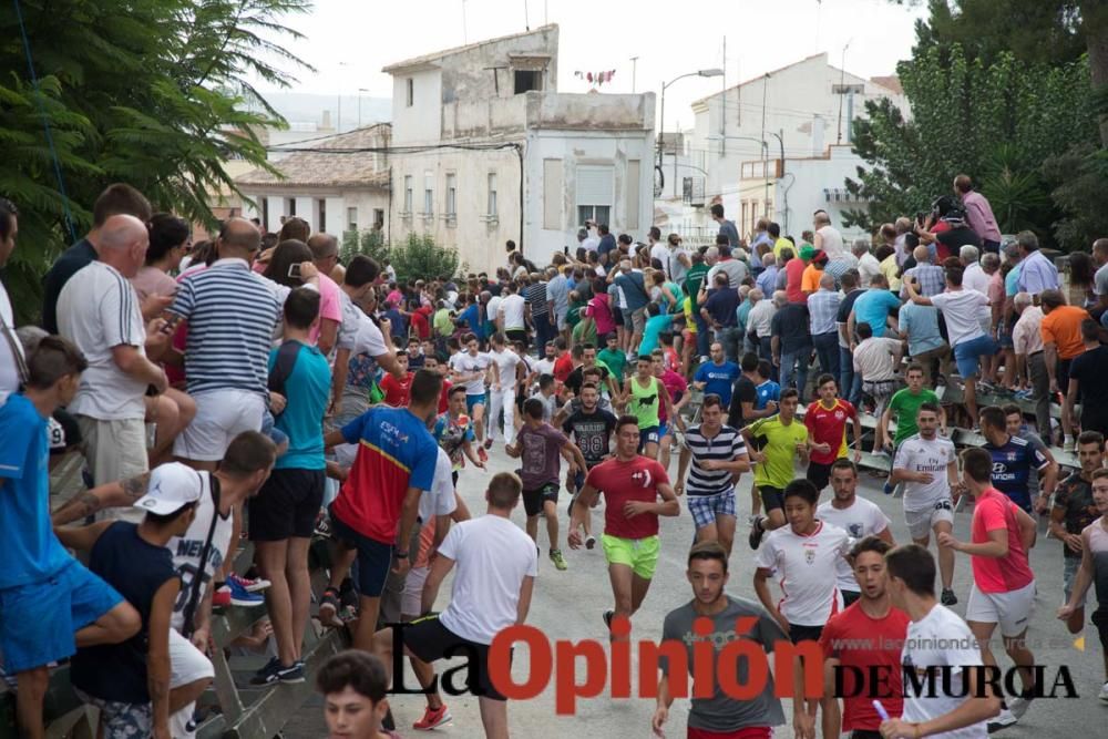 Quinto encierro en Calasparra