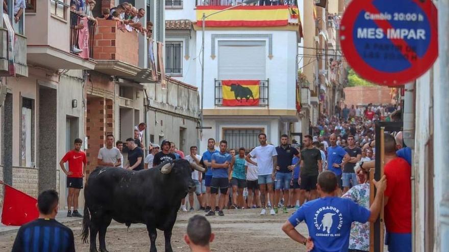 La calle Sant Roc de la Vilavella inicia las fiestas con un gran cartel taurino