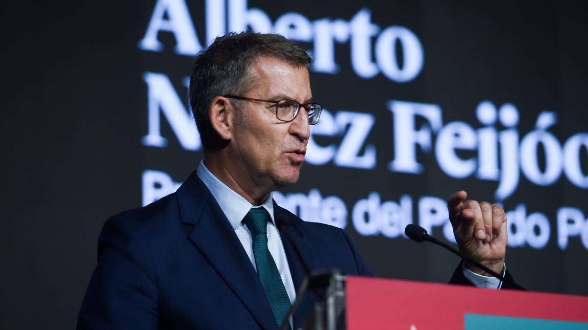 El líder del PP, Alberto Núñez Feijóo.