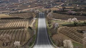 Panorámica de una carretera que atraviesa campos de vides de La Rioja.