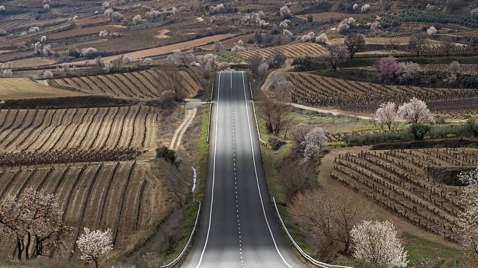 Panorámica de una carretera que atraviesa campos de vides de La Rioja.