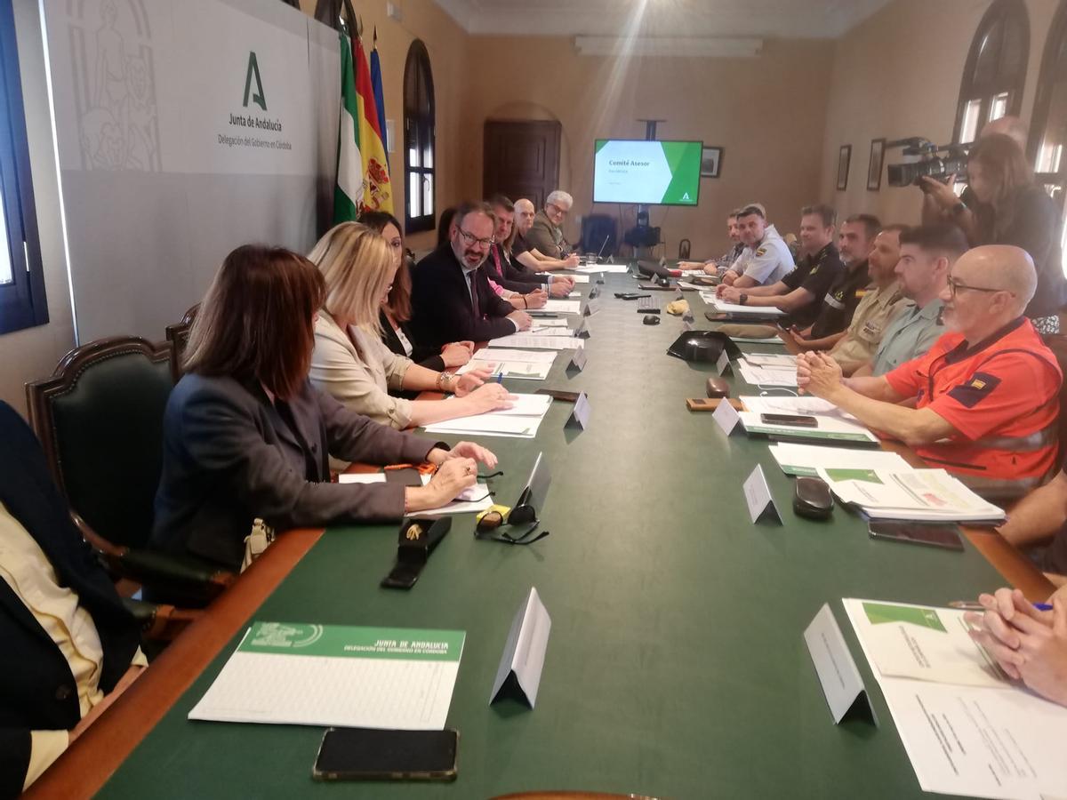 Reunión del Comité Asesor del Plan Infoca de Córdoba.