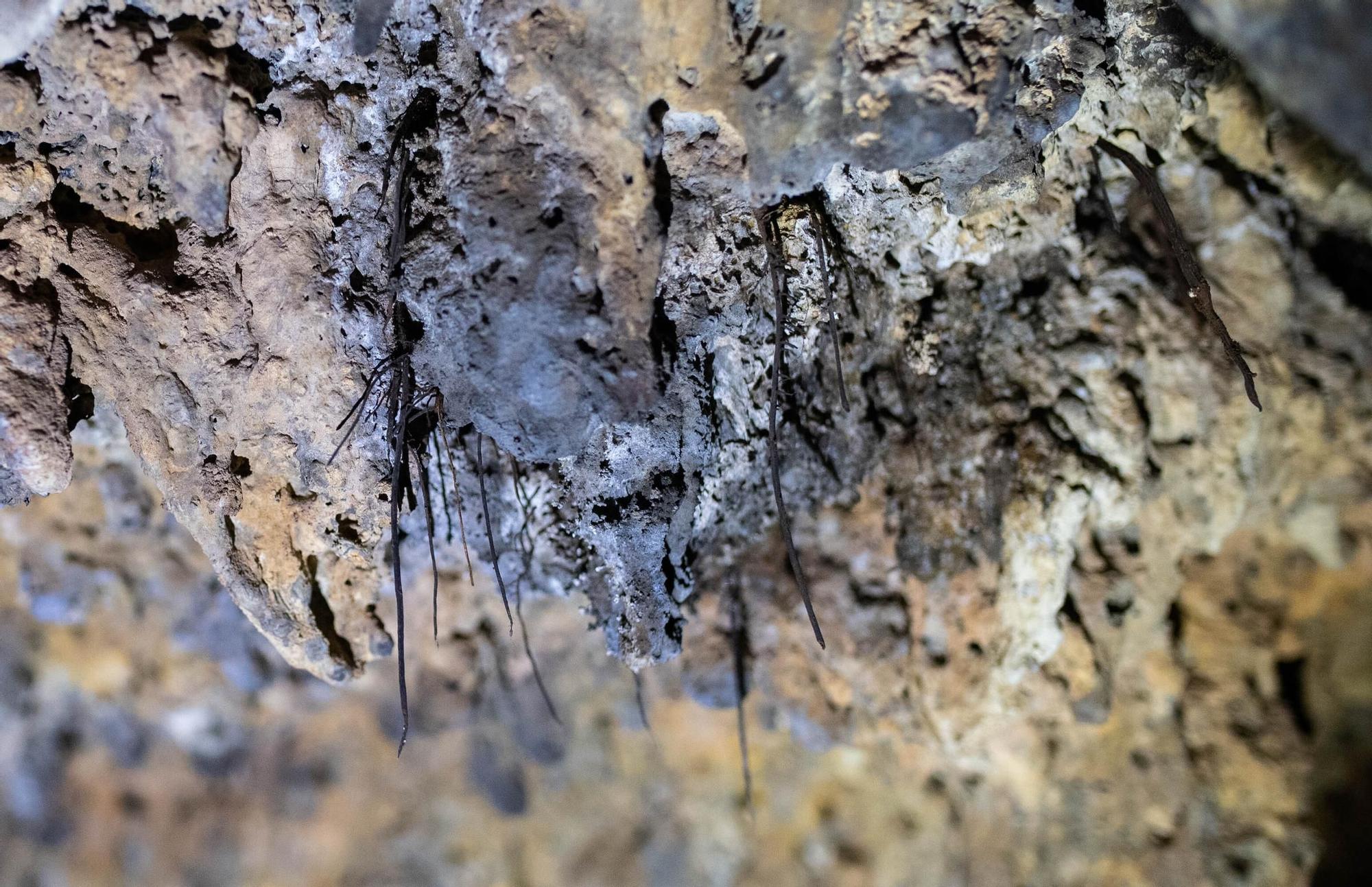 Reportaje de la Cueva del Viento