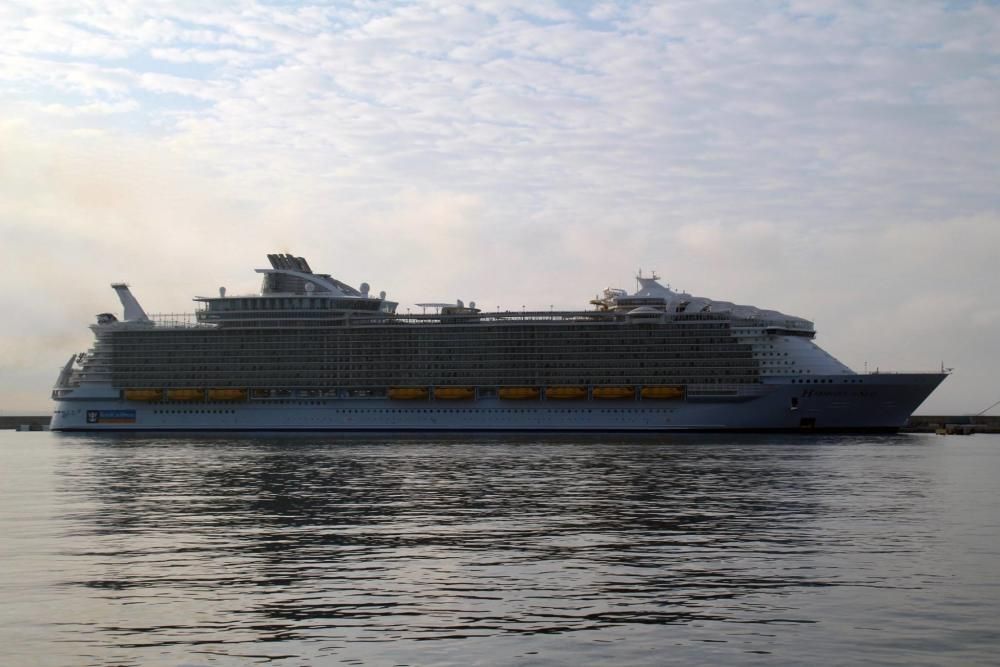 Das größte Kreuzfahrtschiff der Welt machte am Montag (13.6.) erstmals in Palma fest.