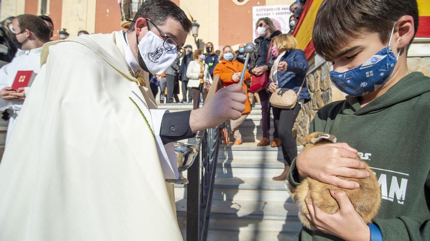 Hasta San Antón, Pascuas son