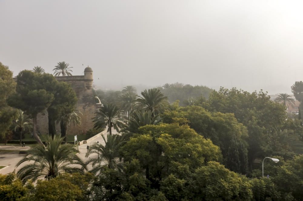 Nebel Mallorca Dezember 2018