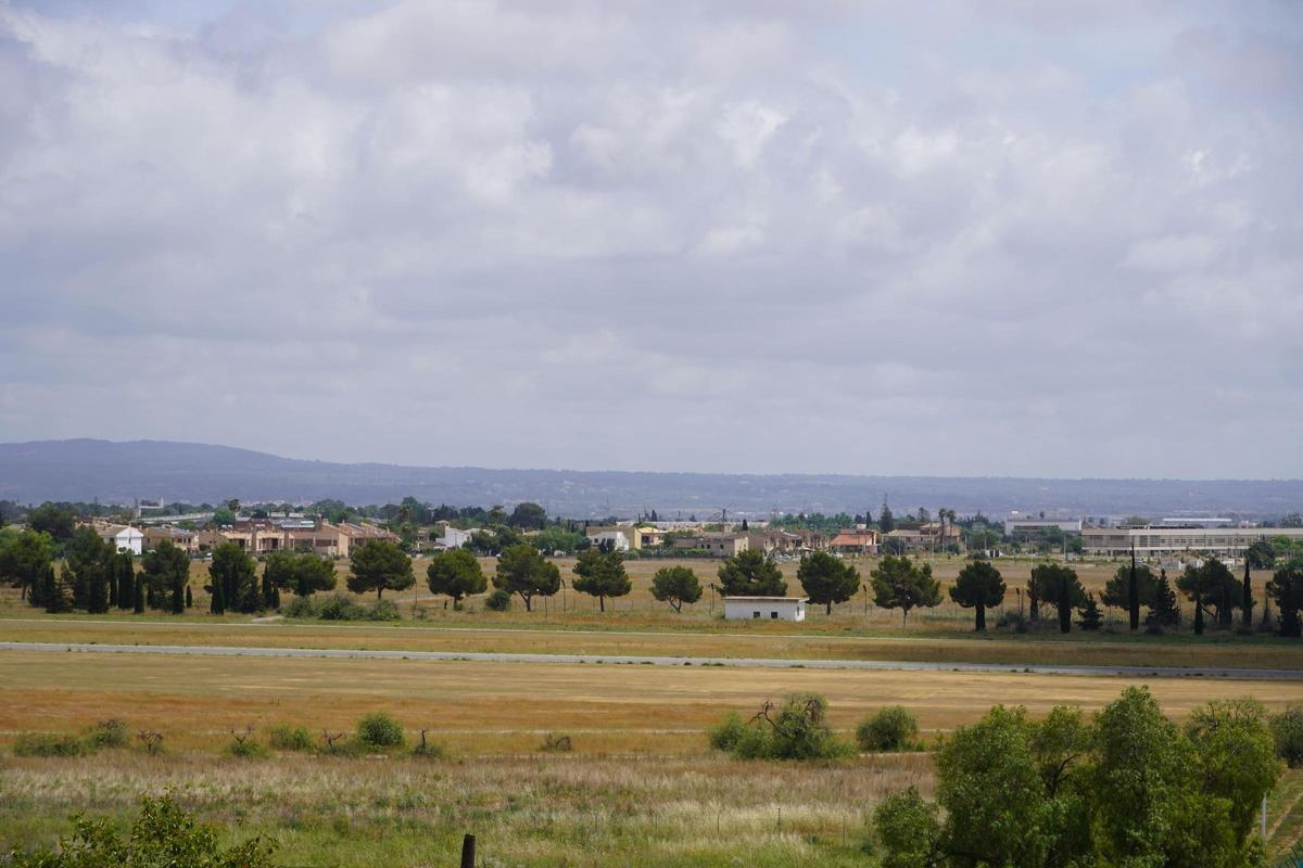 Imágenes de los terrenos de Son Bonet donde AENA quiere implantar un parque fotovoltaico.