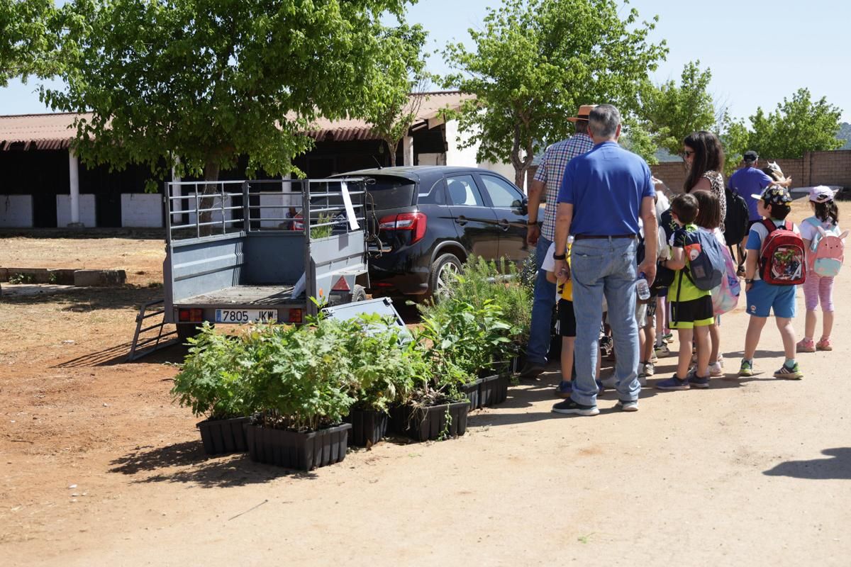 Fotogalería | Así se ha desarrollado la feria equina de Cáceres