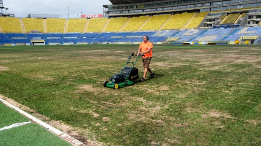 Un operario corta el maltrecho césped del Estadio de Gran Canaria.