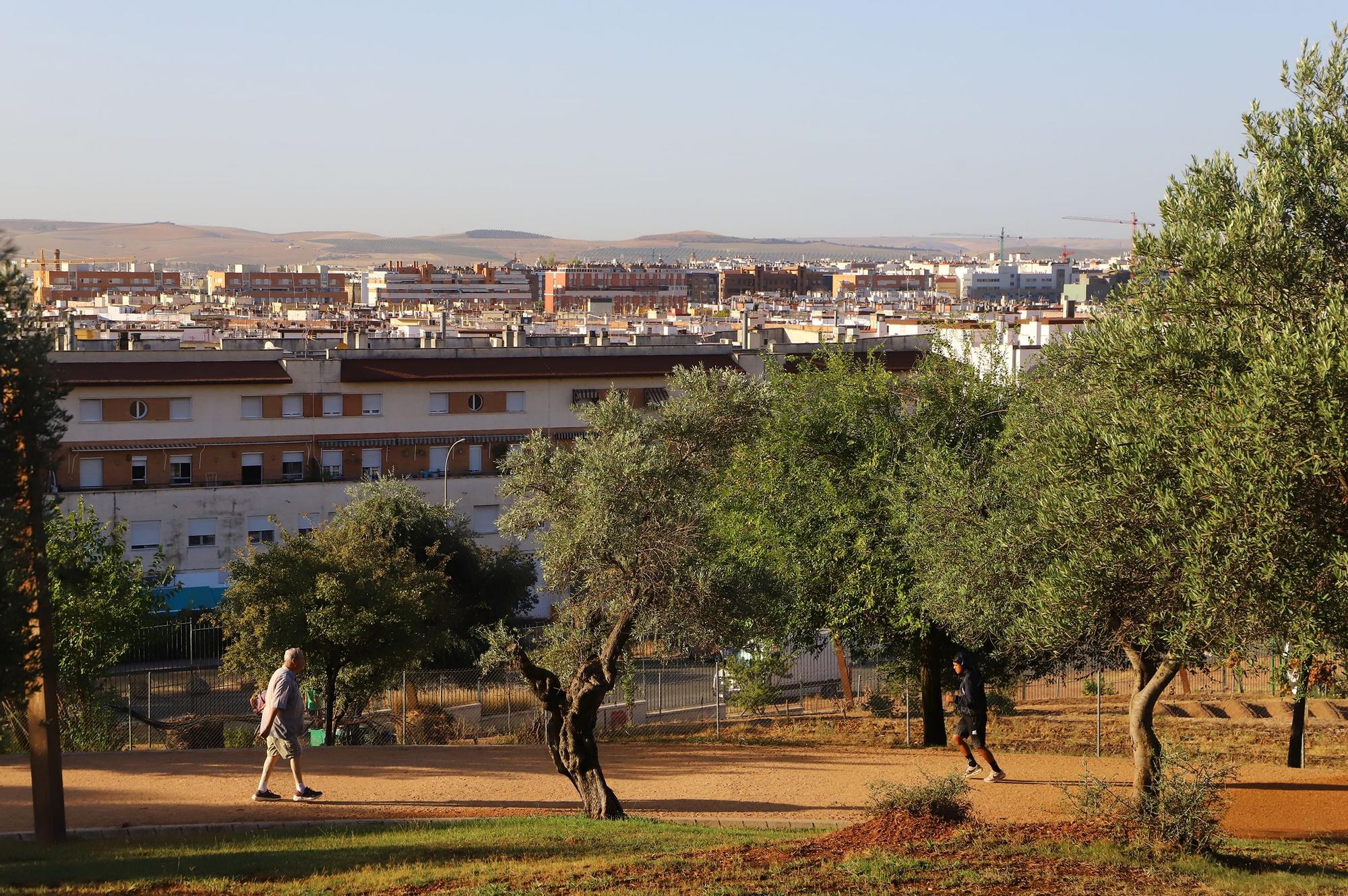 Mirador de la Asomadilla