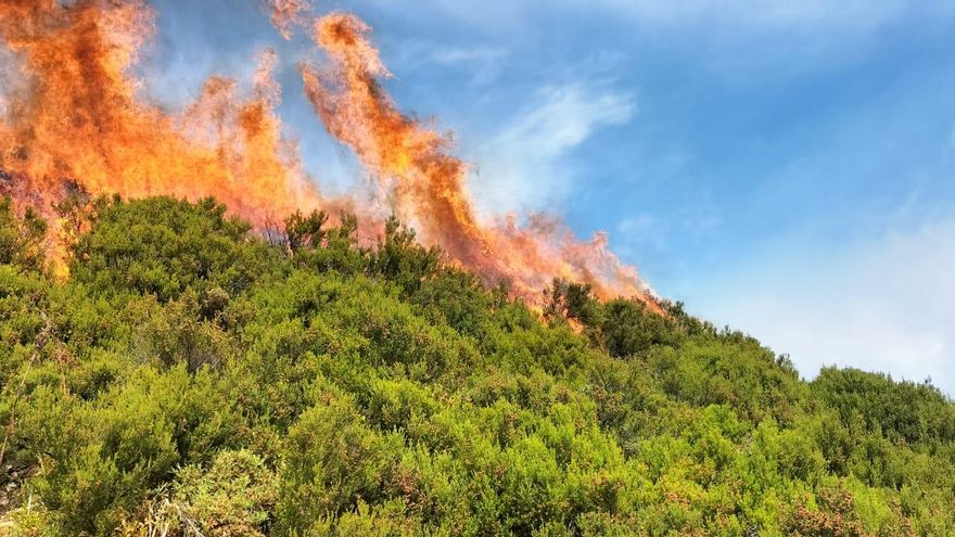 Así es el parte de la guerra contra el fuego: los principales frentes en Asturias están controlados, pero se teme a los activos en León, que “tienen que apagarse allí”