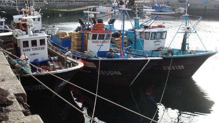 Flota artesanal amarrada en el puerto pesquero de O Berbés.  // Félix Pastor