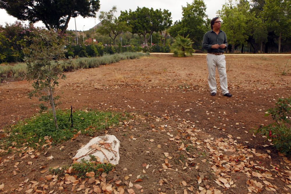 Nuevos jardines de Parcemasa